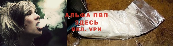 индика Магадан