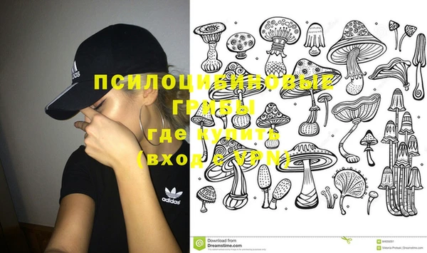 стафф Магас