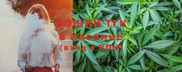 винт Липки