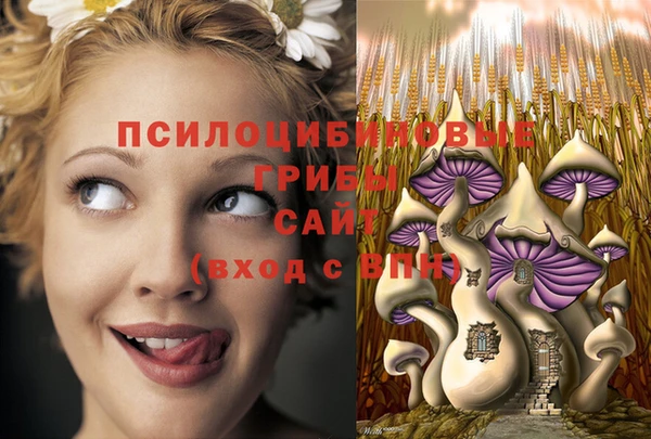 стафф Магас