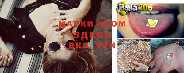 винт Липки